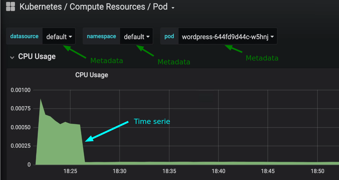 Observation example - Time series with metadata regarding Kubernetes cluster and Pod
